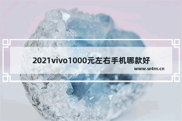 2021vivo1000元左右手机哪款好 一千块钱以内vivo手机推荐哪款好