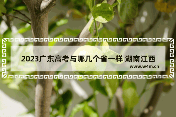 2023广东高考与哪几个省一样 湖南江西广东高考分数线