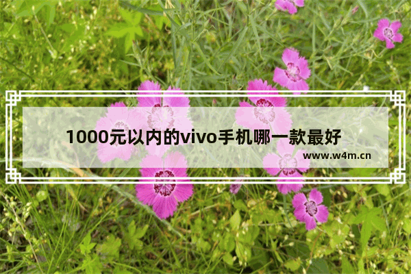 1000元以内的vivo手机哪一款最好 一千以下vivo手机推荐哪款好用