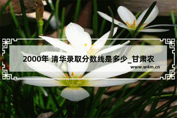 2000年 清华录取分数线是多少_甘肃农业大学1996年官网录取结果查询