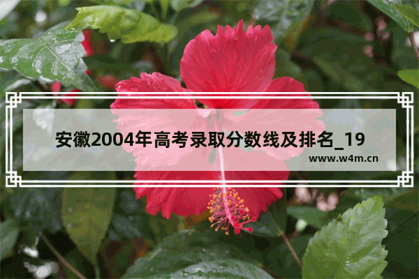 安徽2004年高考录取分数线及排名_1994年安徽高考分数线及录取率