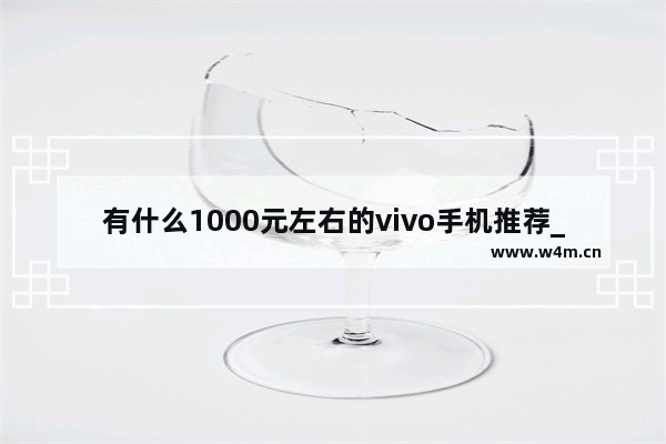 有什么1000元左右的vivo手机推荐_vivo一千左右的手机