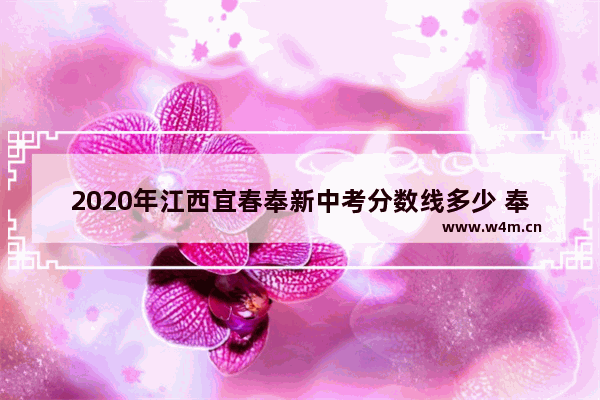 2020年江西宜春奉新中考分数线多少 奉新高职高考分数线