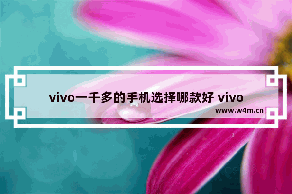 vivo一千多的手机选择哪款好 vivo一千左右最新手机推荐哪款好