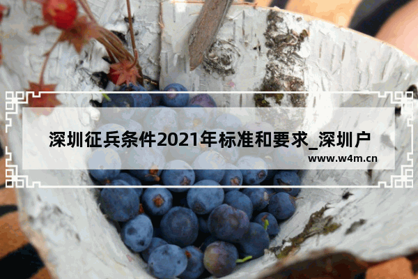 深圳征兵条件2021年标准和要求_深圳户籍参军条件