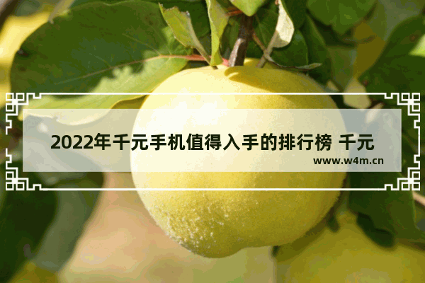 2022年千元手机值得入手的排行榜 千元以下手机推荐几款好用