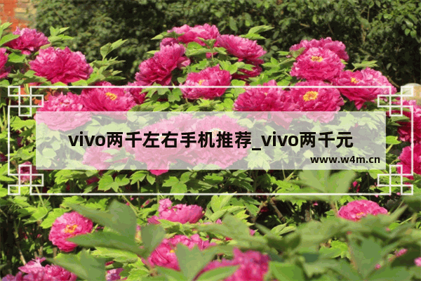 vivo两千左右手机推荐_vivo两千元左右性价比高