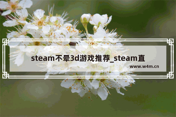 steam不晕3d游戏推荐_steam直接开车的游戏