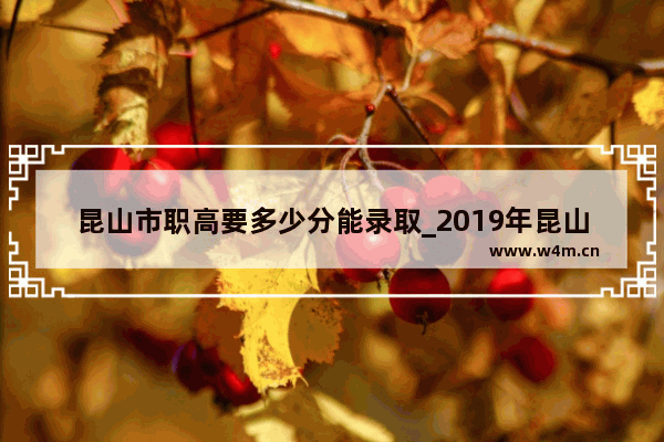 昆山市职高要多少分能录取_2019年昆山中考各校录取分数线