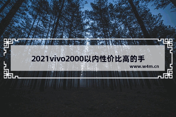 2021vivo2000以内性价比高的手机_一千元以下手机推荐哪款好