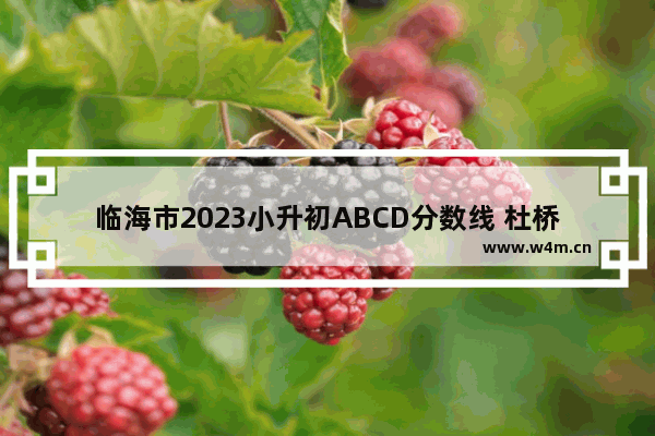 临海市2023小升初ABCD分数线 杜桥中学高考分数线多少