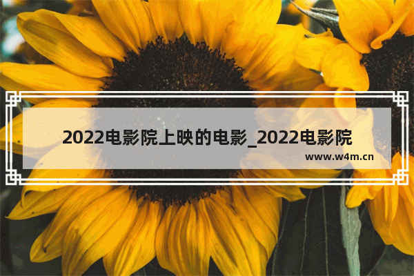 2022电影院上映的电影_2022电影院上映的电影有哪些