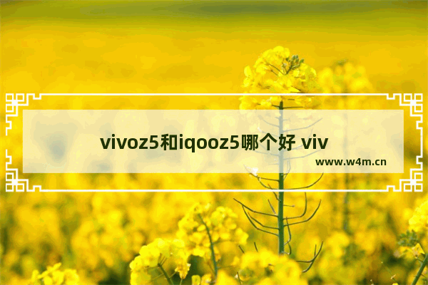 vivoz5和iqooz5哪个好 vivoz系列一千多元五g手机推荐