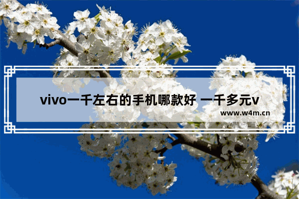 vivo一千左右的手机哪款好 一千多元vivo手机推荐哪款好一点