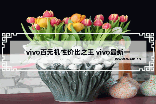 vivo百元机性价比之王 vivo最新一千元手机推荐性价比高一点