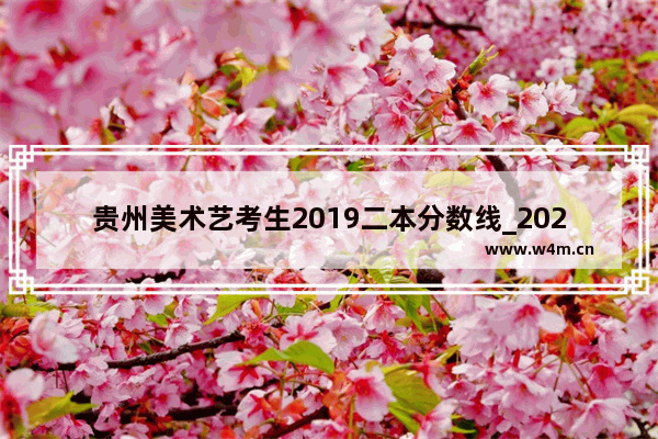 贵州美术艺考生2019二本分数线_2020贵州省艺考文化课分数线