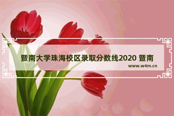 暨南大学珠海校区录取分数线2020 暨南大学高考分数线福建