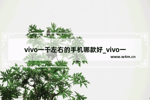 vivo一千左右的手机哪款好_vivo一千元左右的手机哪个好用