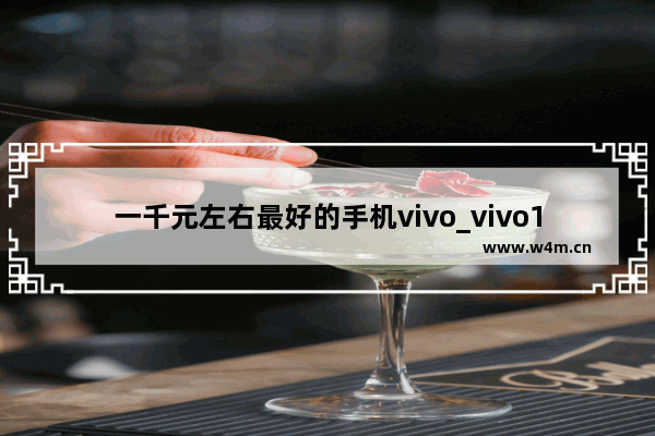 一千元左右最好的手机vivo_vivo1000到1500元高性价比手机