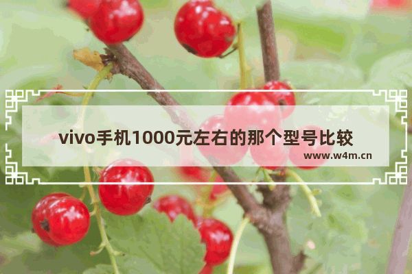 vivo手机1000元左右的那个型号比较好 vivo手机推荐一千元左右哪款好