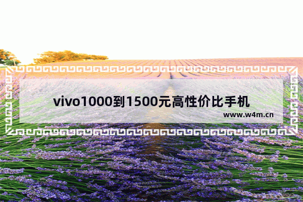 vivo1000到1500元高性价比手机_vivo1000左右性价比高的手机