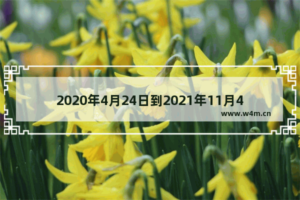 2020年4月24日到2021年11月4是多少时间 4月24号这几天股票为什么一直跌呢