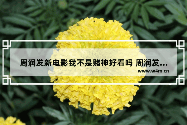 周润发新电影我不是赌神好看吗 周润发最新电影叫什么名