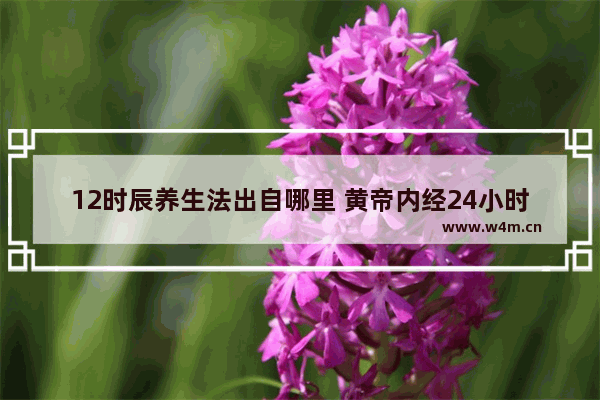 12时辰养生法出自哪里 黄帝内经24小时养生法