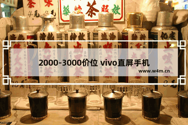 2000-3000价位 vivo直屏手机推荐_oppo3000左右直屏手机