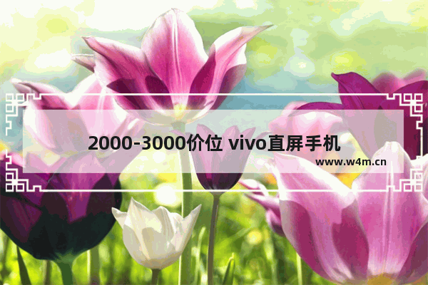 2000-3000价位 vivo直屏手机推荐 三千左右直屏手机推荐哪款