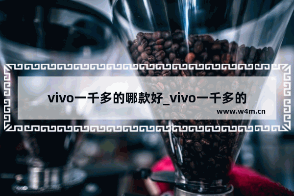 vivo一千多的哪款好_vivo一千多的手机选择哪款好