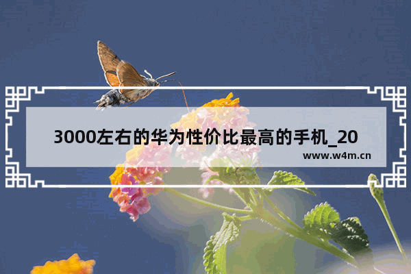 3000左右的华为性价比最高的手机_2000到3000性价比最高的华为手机