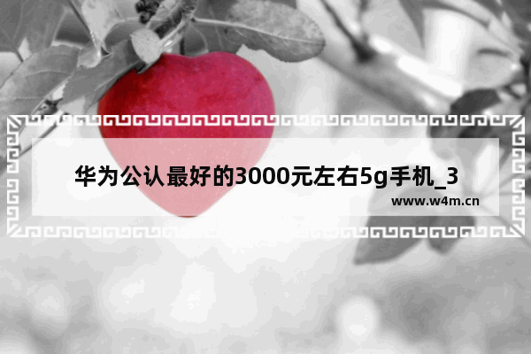 华为公认最好的3000元左右5g手机_3000元性价比最高的手机5g华为