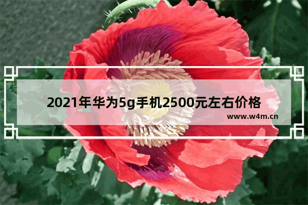 2021年华为5g手机2500元左右价格的哪款手机好 三千内华为5g手机推荐