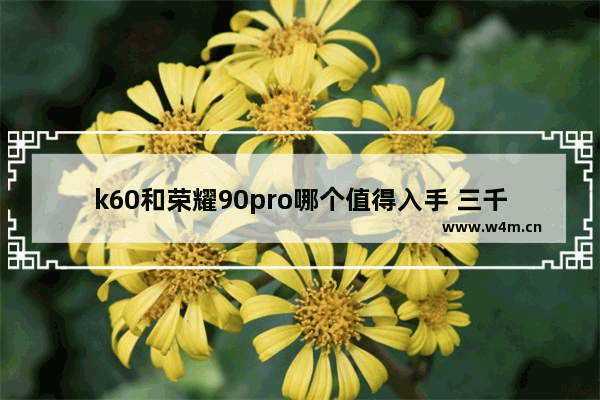 k60和荣耀90pro哪个值得入手 三千元左右荣耀手机推荐