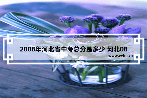 2008年河北省中考总分是多少 河北08年高考分数线