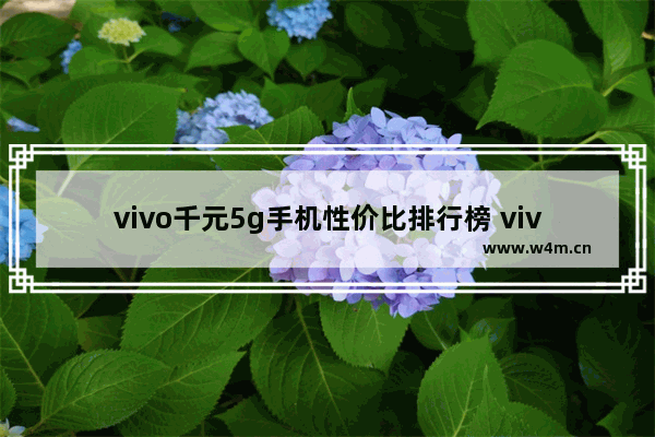 vivo千元5g手机性价比排行榜 vivo一千元手机推荐哪款好用点