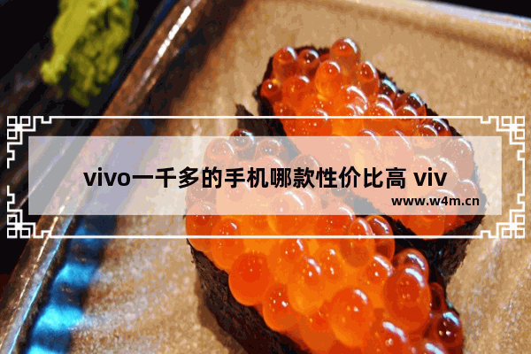 vivo一千多的手机哪款性价比高 vivo一千元手机推荐哪款好用一点