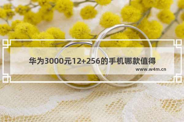 华为3000元12+256的手机哪款值得买_华为手机目前最值得入手的一款300元以内