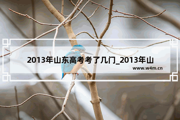 2013年山东高考考了几门_2013年山东省高考文理科状元是谁？多少分