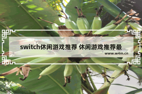 switch休闲游戏推荐 休闲游戏推荐最新