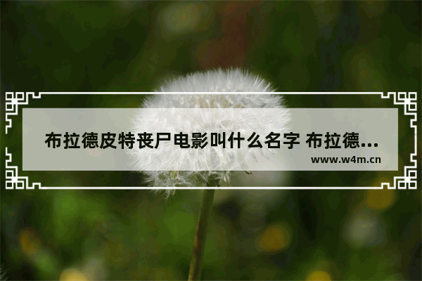 布拉德皮特丧尸电影叫什么名字 布拉德皮特最新电影