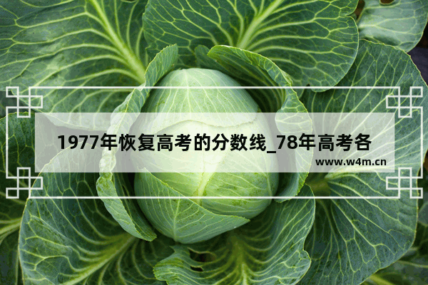 1977年恢复高考的分数线_78年高考各省录取分数线