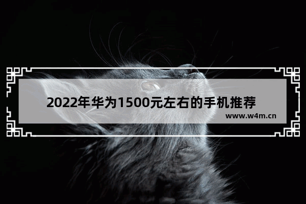 2022年华为1500元左右的手机推荐 华为3千到4千元手机推荐哪款