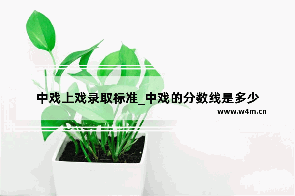 中戏上戏录取标准_中戏的分数线是多少