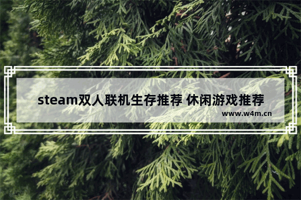 steam双人联机生存推荐 休闲游戏推荐steam多人