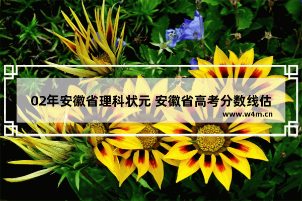 02年安徽省理科状元 安徽省高考分数线估分