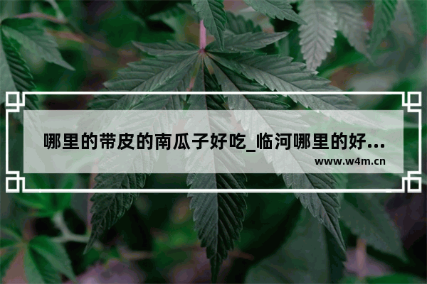 哪里的带皮的南瓜子好吃_临河哪里的好吃的最多。求解