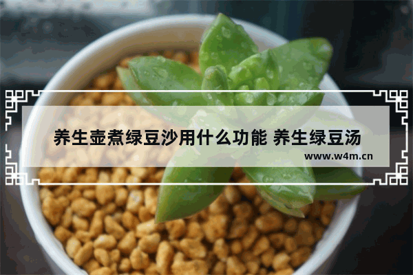 养生壶煮绿豆沙用什么功能 养生绿豆汤