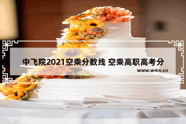 中飞院2021空乘分数线 空乘高职高考分数线